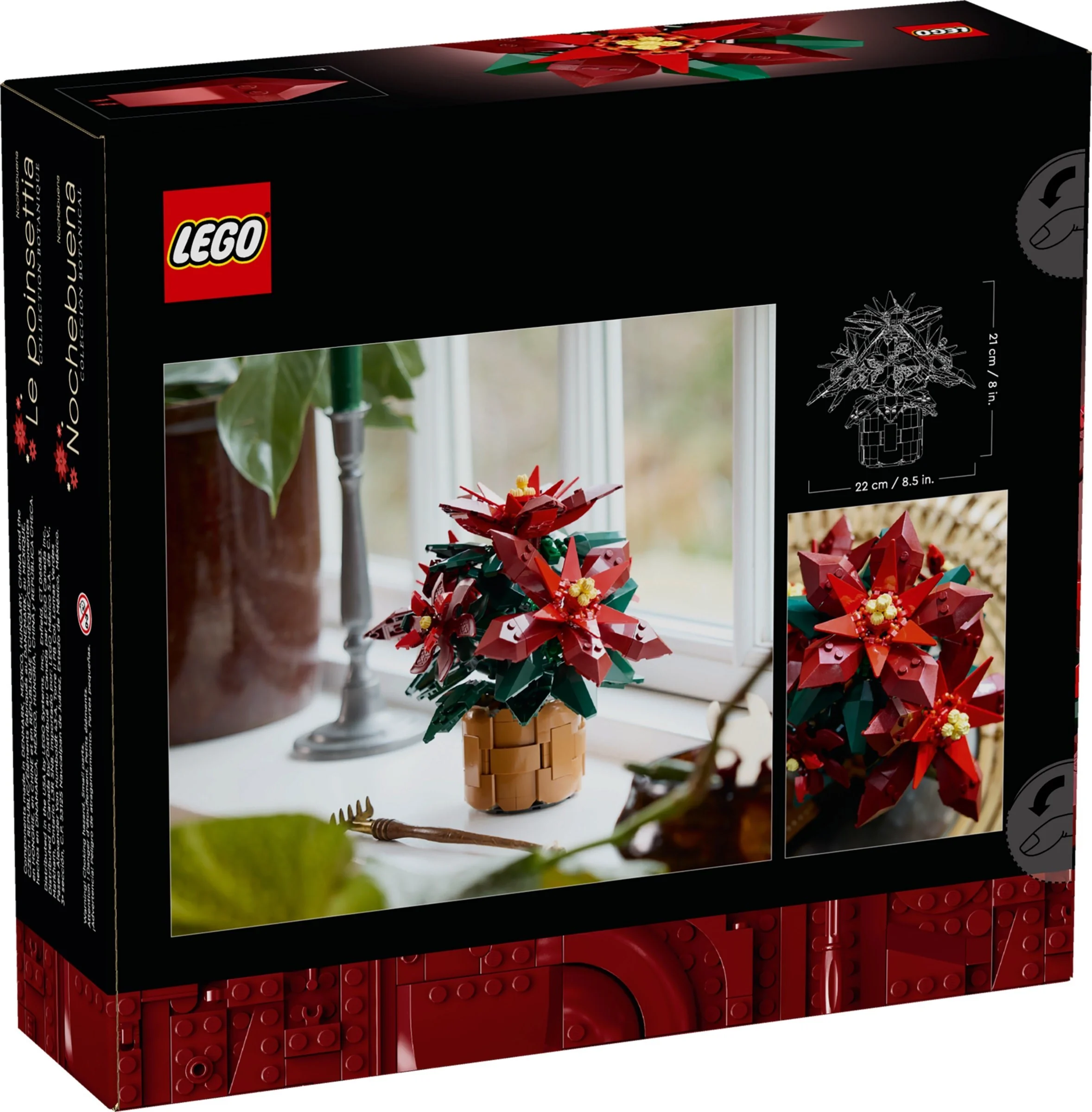 Weihnachtsstern - Thumbnail 3