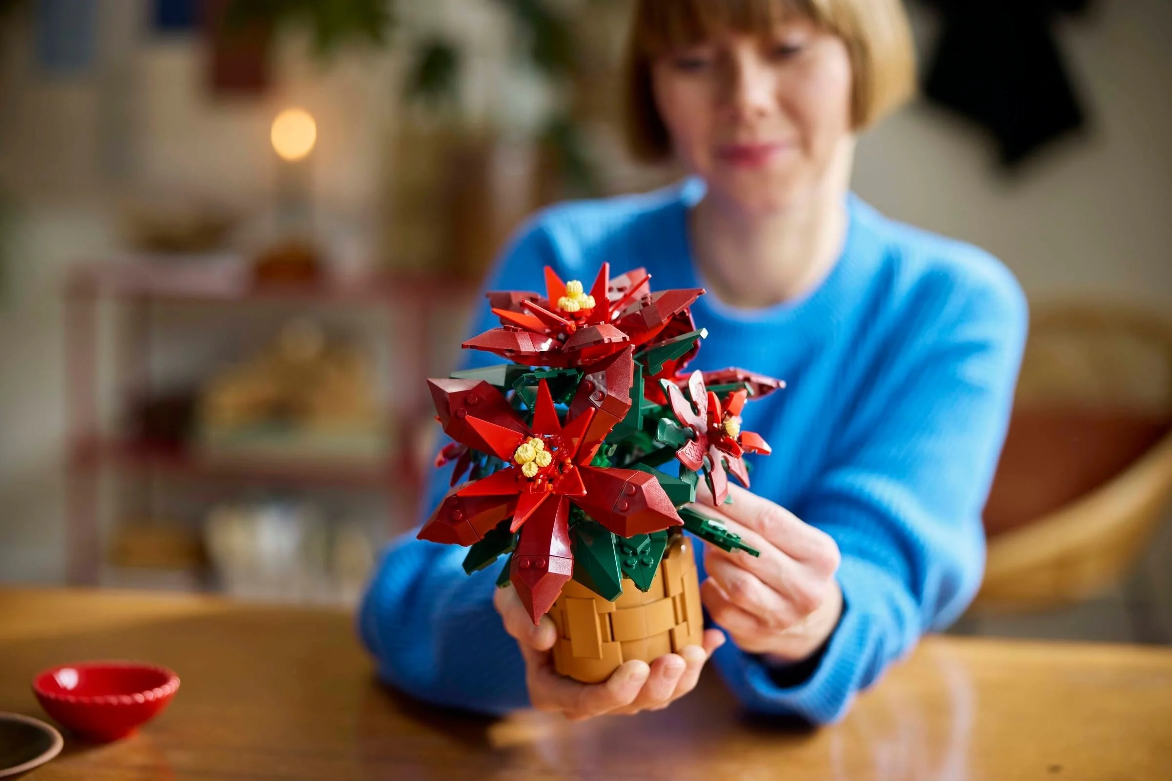 Weihnachtsstern - Thumbnail 5