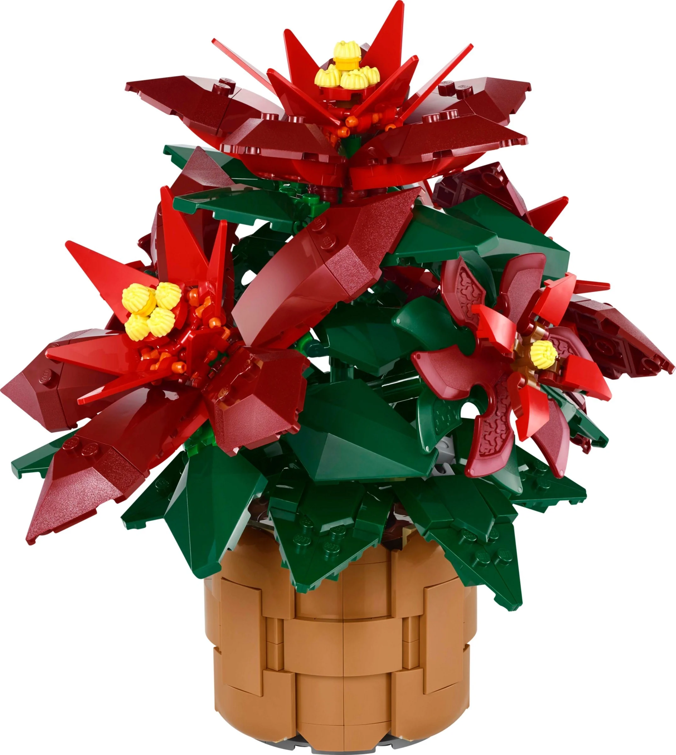 Weihnachtsstern - Thumbnail 6