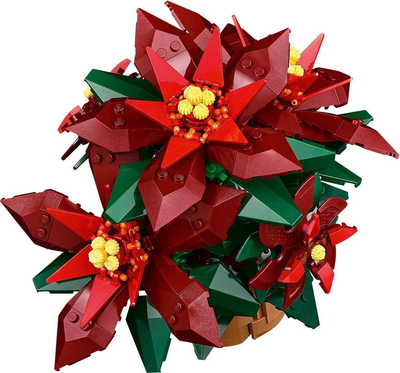 Weihnachtsstern - Thumbnail 7