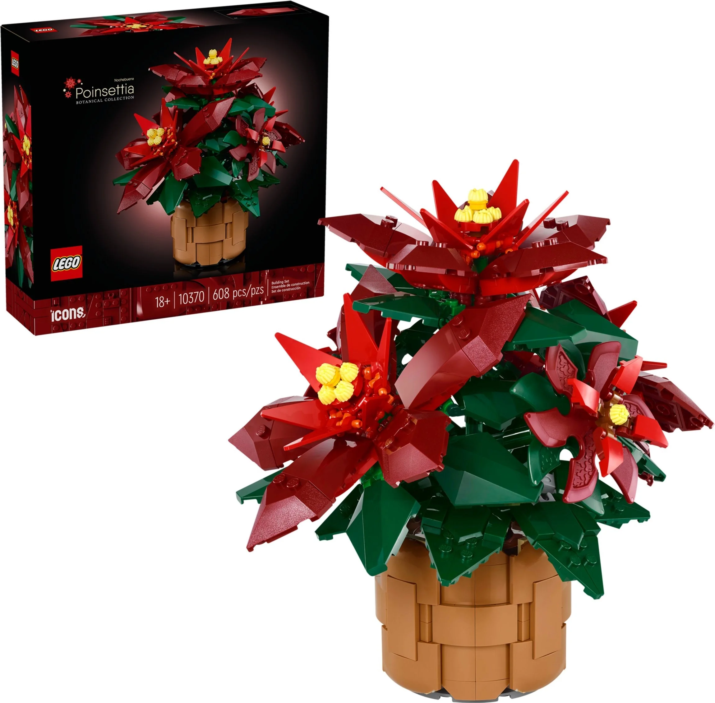 Weihnachtsstern - Thumbnail 8