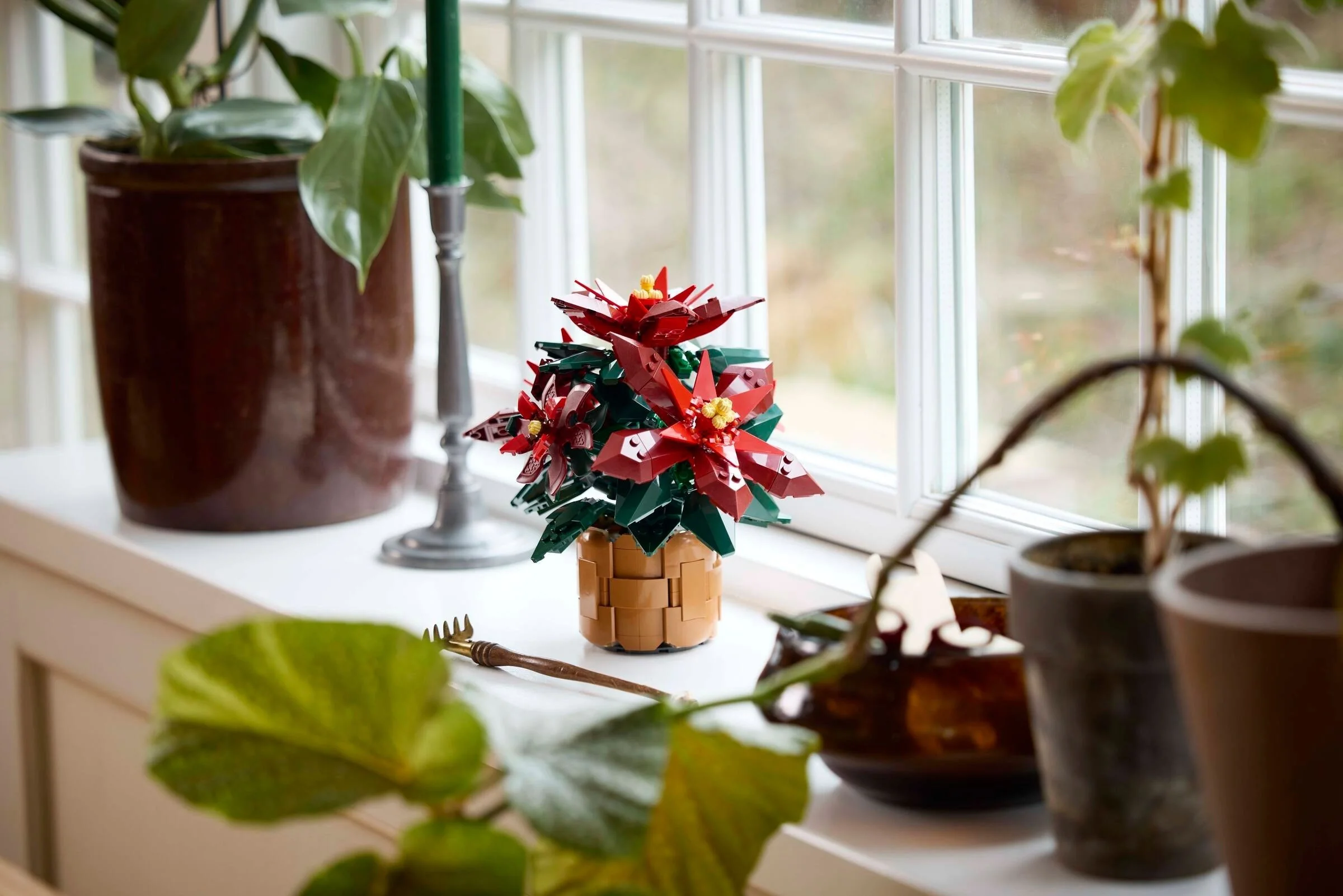 Weihnachtsstern - Thumbnail 9
