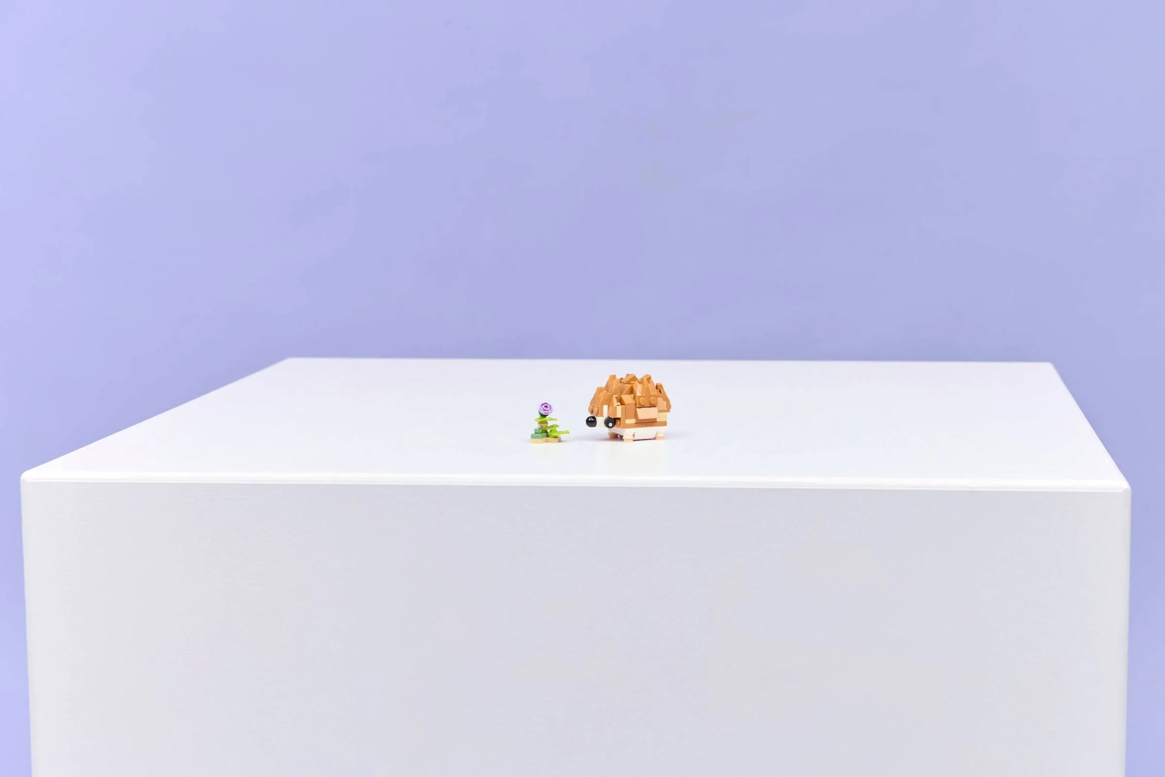 Cute Hamster with a Flower - Thumbnail 10