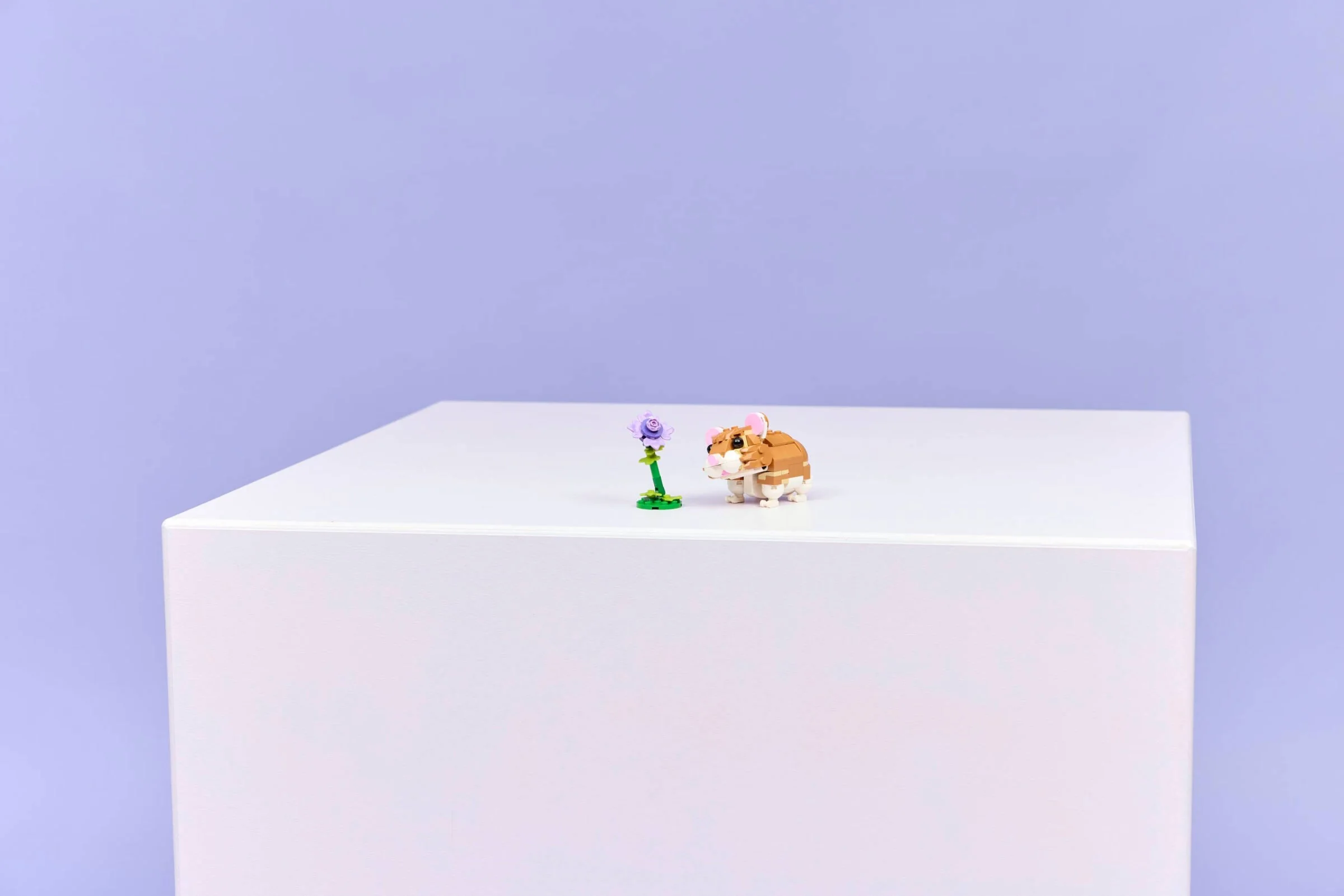 Cute Hamster with a Flower - Thumbnail 11