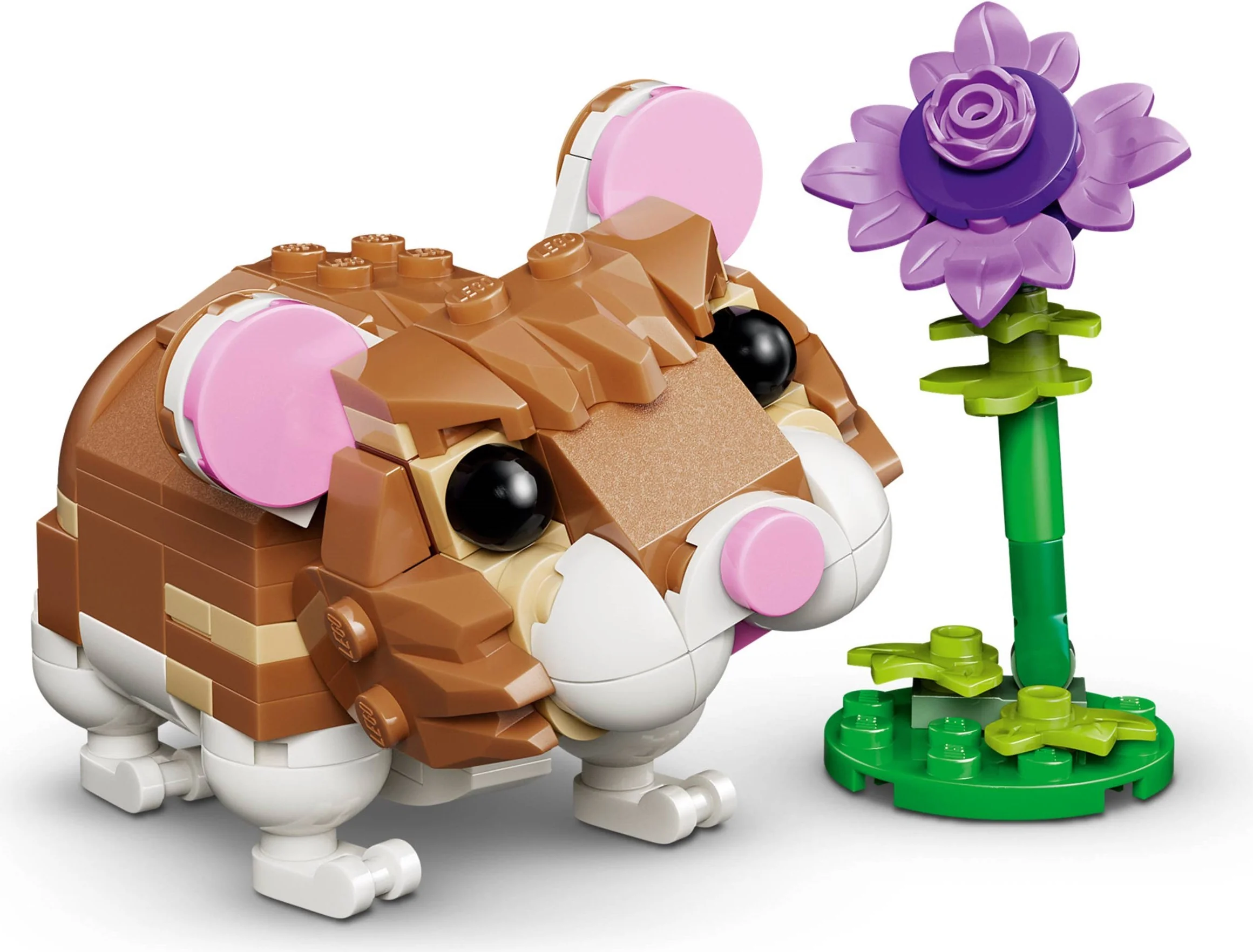 Cute Hamster with a Flower - Thumbnail 12