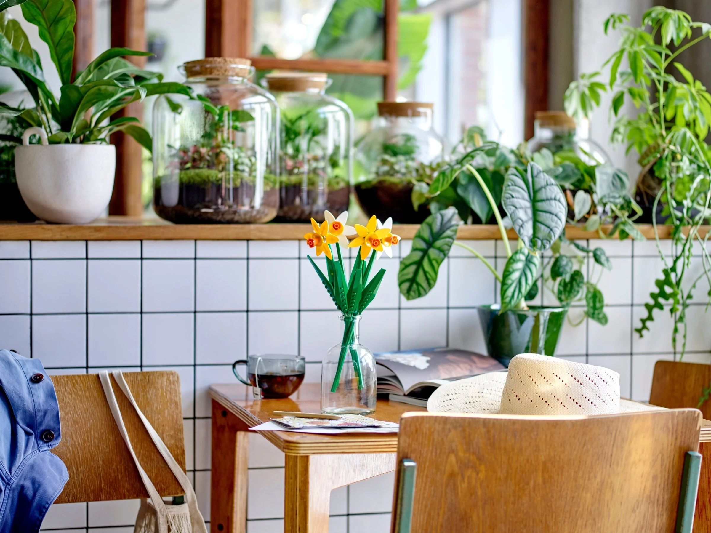 Narzissen - Thumbnail 4